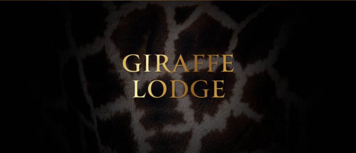 1 NIGHT GIRAFFE LODGE STAY